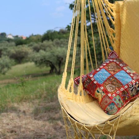 Villa Sarno Montesilvano Marina Exteriér fotografie