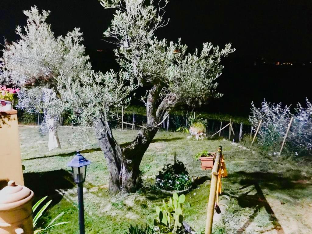 Villa Sarno Montesilvano Marina Exteriér fotografie